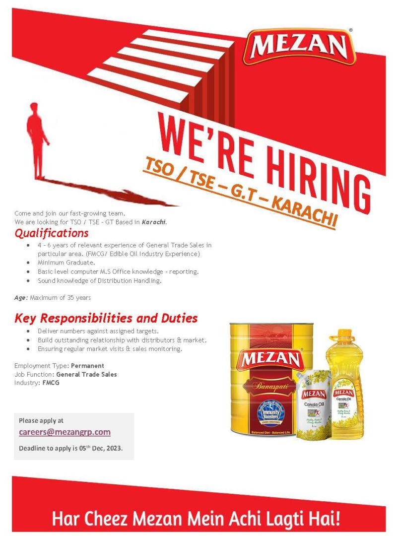 Mezan Group Jobs